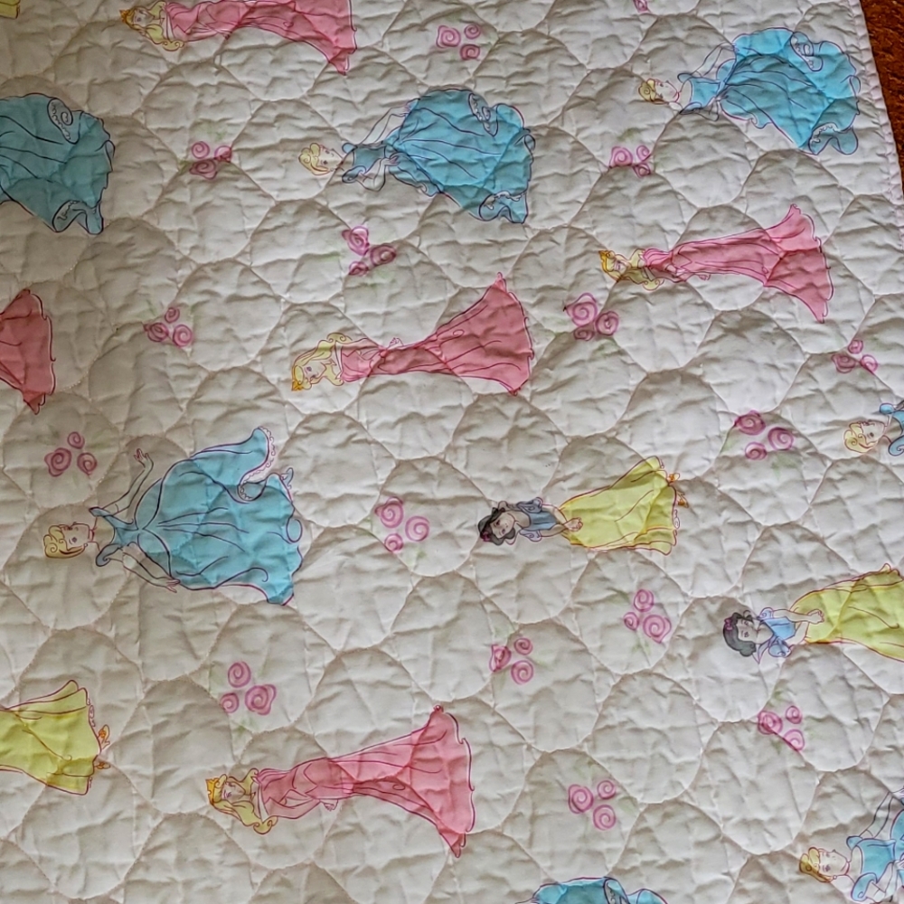 Disney Princes blanket